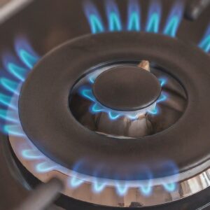 Professional-Grade Ranges for Home
